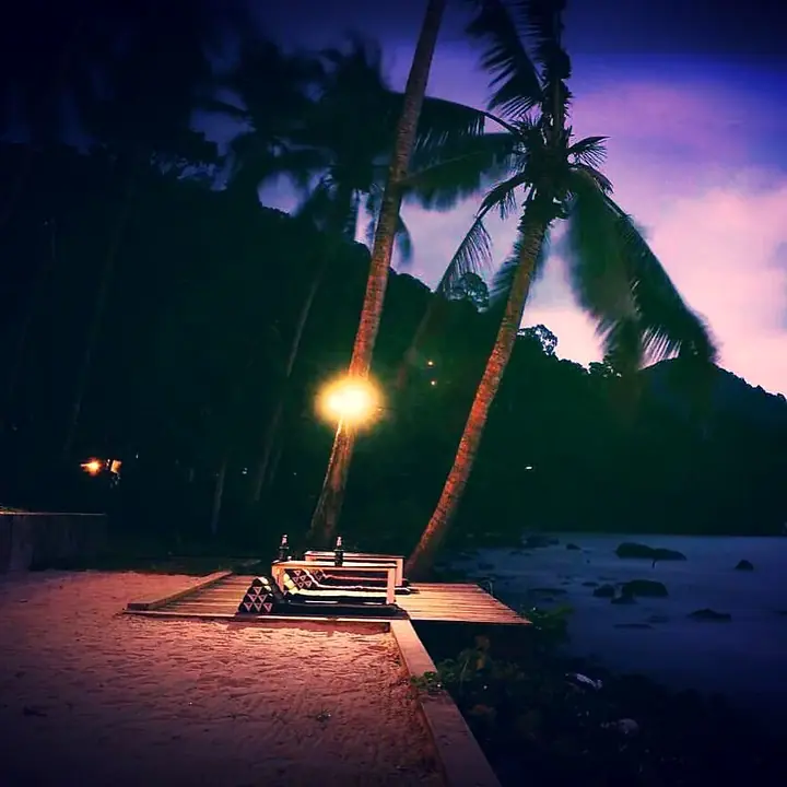 Garden lantern glowing under the palms at night