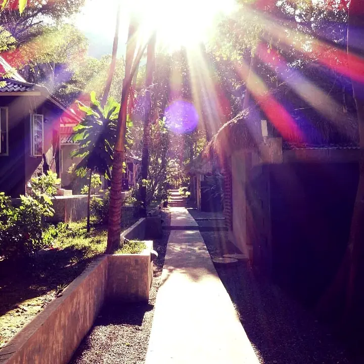 Sun rays through the trees over the garden path